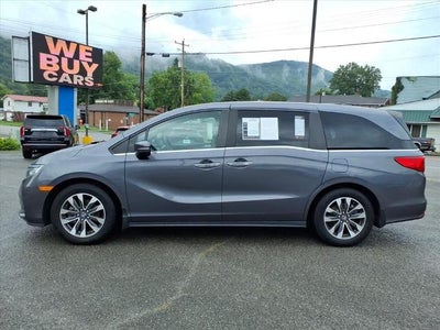2023 Honda Odyssey EX-L