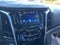 2020 Cadillac Escalade ESV Platinum Edition
