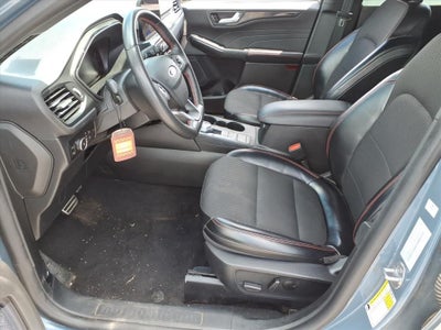 2024 Ford Escape Hybrid ST-Line Select